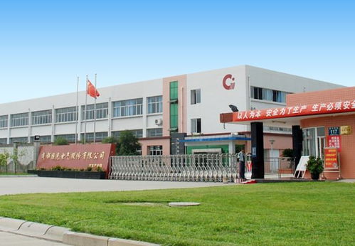 國光電氣ipo后首份年報出爐 核心競爭力護航收利持續雙增